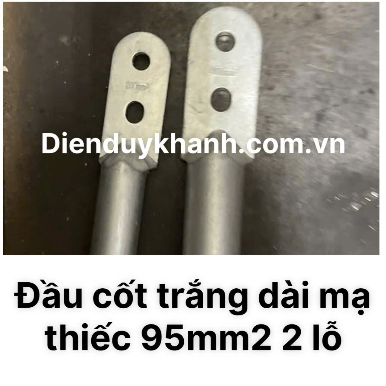 Đầu Cốt Đồng Mạ Thiếc 95mm2 2 Lỗ